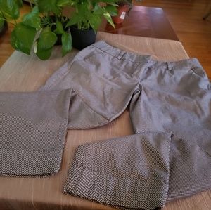 Bundle of 3 New York & Company Ankle Pants